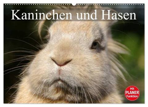 Kaninchen und Hasen (Wandkalender 2027 DIN A2 quer), CALVENDO Monatskalender