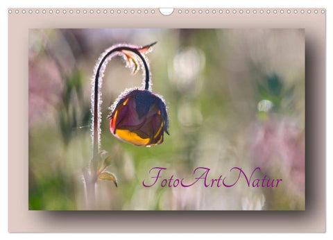 Foto-Art-Natur (Wandkalender 2027 DIN A3 quer), CALVENDO Monatskalender