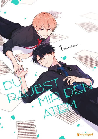 Du raubst mir den Atem – Band 1