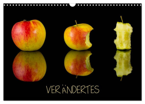 Verändertes (Wandkalender 2026 DIN A3 quer), CALVENDO Monatskalender