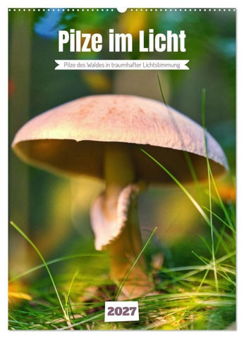 Pilze im Licht (Wandkalender 2027 DIN A2 hoch), CALVENDO Monatskalender