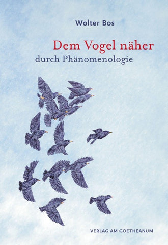 Dem Vogel näher – durch Phänomenologie