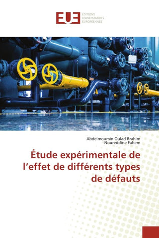 Étude expérimentale de l'effet de différents types de défauts