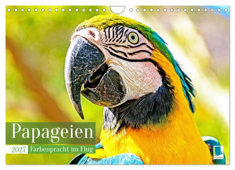 Papageien: Farbenpracht im Flug (Wandkalender 2027 DIN A4 quer), CALVENDO Monatskalender
