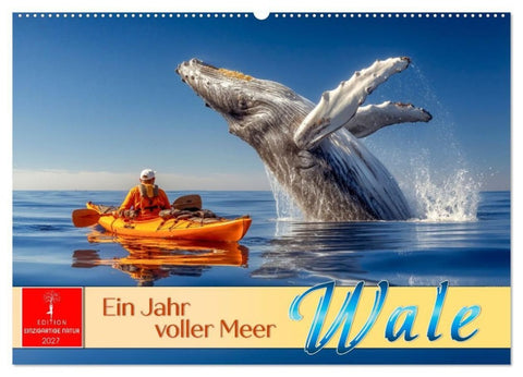 Wale - ein Jahr voller Meer (Wandkalender 2027 DIN A2 quer), CALVENDO Monatskalender