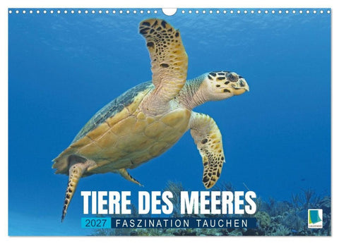 Tiere des Meeres: Faszination Tauchen (Wandkalender 2027 DIN A3 quer), CALVENDO Monatskalender