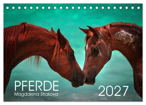 Pferde - Magdalena Strakova (Tischkalender 2027 DIN A5 quer), CALVENDO Monatskalender