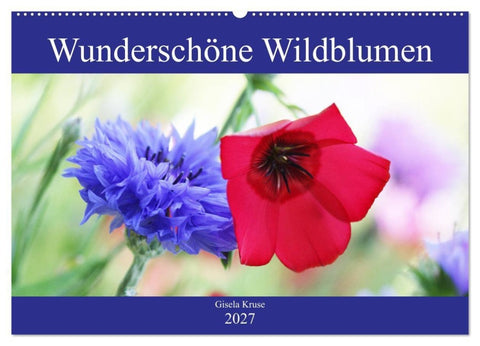 Wunderschöne Wildblumen (Wandkalender 2027 DIN A2 quer), CALVENDO Monatskalender