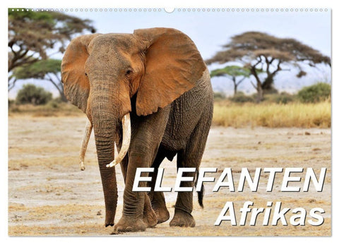 Elefanten Afrikas (Wandkalender 2027 DIN A2 quer), CALVENDO Monatskalender