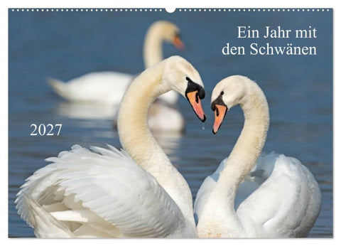 Ein Jahr mit den Schwänen (Wandkalender 2027 DIN A2 quer), CALVENDO Monatskalender