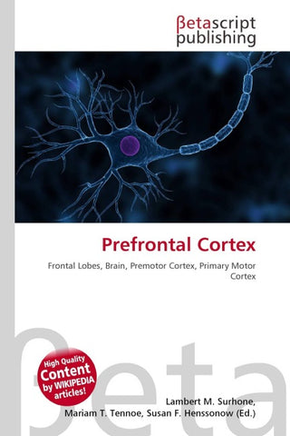 Prefrontal Cortex