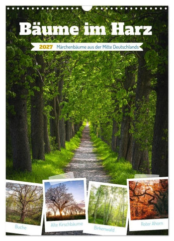 Bäume im Harz (Wandkalender 2027 DIN A3 hoch), CALVENDO Monatskalender