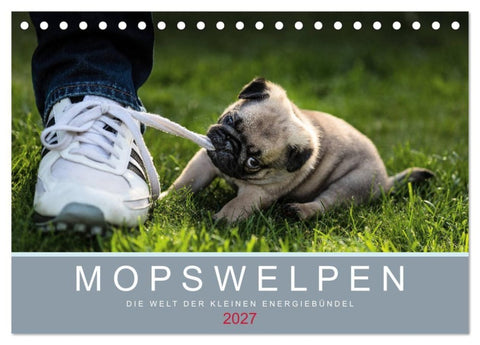 Mopswelpen (Tischkalender 2027 DIN A5 quer), CALVENDO Monatskalender