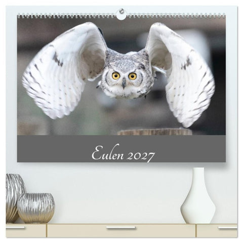 Eulen 2027 (hochwertiger Premium Wandkalender 2027 DIN A2 quer), Kunstdruck in Hochglanz