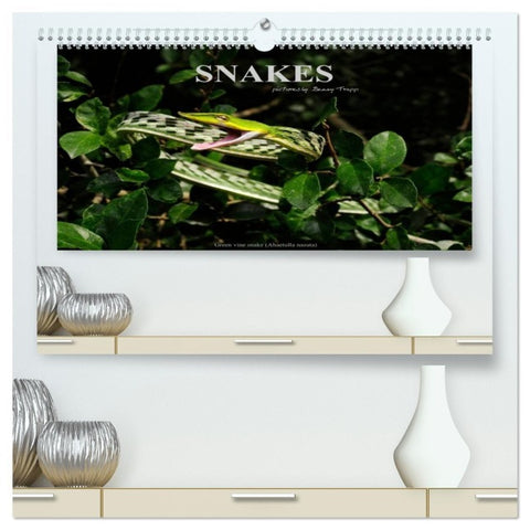 SNAKES / UK-Version (High Quality Premium Wall Calendar 2026 DIN A2 landscape),CALVENDO 12 Month Wall Calendar