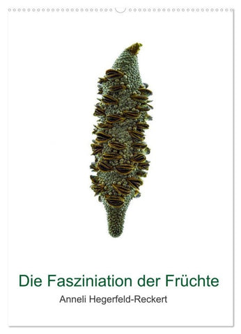 Die Faszination der Früchte (Wandkalender 2027 DIN A2 hoch), CALVENDO Monatskalender
