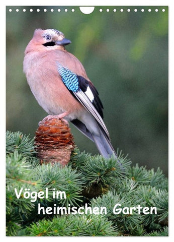 Vögel im heimischen Garten (Wandkalender 2027 DIN A4 hoch), CALVENDO Monatskalender