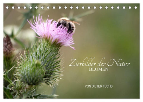 Zierbilder der Natur BLUMEN (Tischkalender 2027 DIN A5 quer), CALVENDO Monatskalender