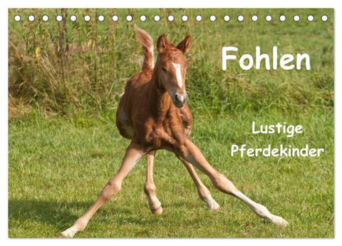 Fohlen - Lustige Pferdekinder (Tischkalender 2027 DIN A5 quer), CALVENDO Monatskalender