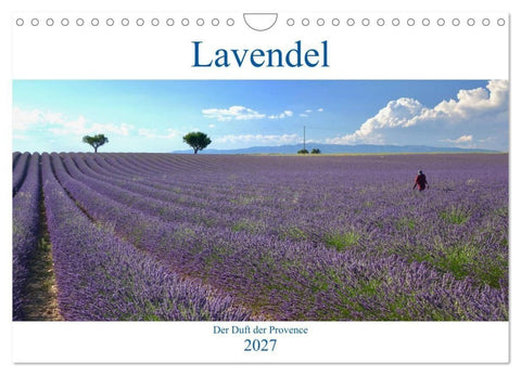 Lavendel. Der Duft der Provence (Wandkalender 2027 DIN A4 quer), CALVENDO Monatskalender