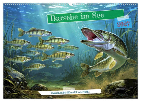 Barsche im See (Wandkalender 2027 DIN A2 quer), CALVENDO Monatskalender