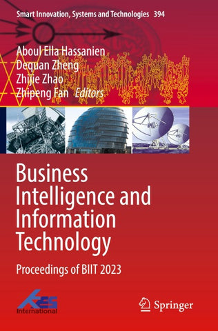 Business Intelligence and Information Technology