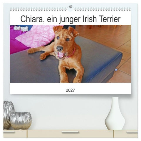 Chiara, ein junger Irish Terrier (hochwertiger Premium Wandkalender 2027 DIN A2 quer), Kunstdruck in Hochglanz