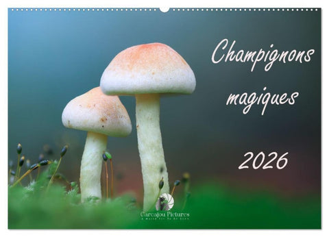 Champignons magiques (Calendrier mural 2027 DIN A2 vertical), CALVENDO calendrier mensuel