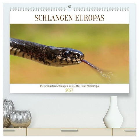 Schlangen Europas (hochwertiger Premium Wandkalender 2027 DIN A2 quer), Kunstdruck in Hochglanz