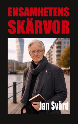 Ensamhetens skärvor