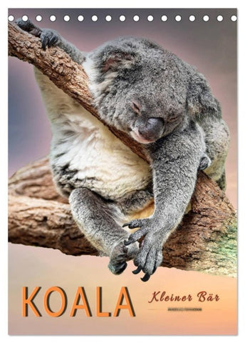 Koala, kleiner Bär (Tischkalender 2027 DIN A5 hoch), CALVENDO Monatskalender
