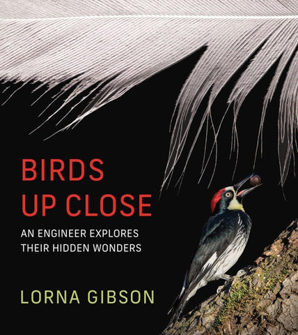 Birds Up Close