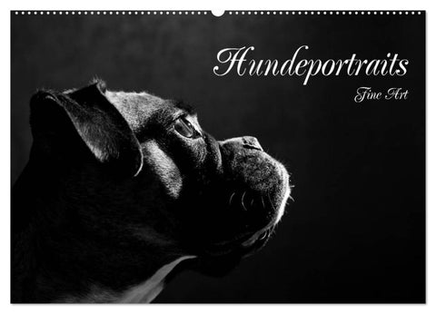 Hundeportraits Fine Art (Wandkalender 2026 DIN A2 quer), CALVENDO Monatskalender