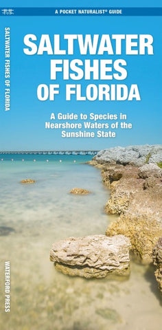 Saltwater Fishes of Florida