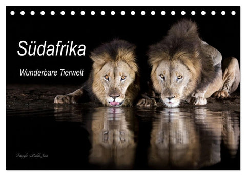 Südafrika wunderbare Tierwelt (Tischkalender 2026 DIN A5 quer), CALVENDO Monatskalender
