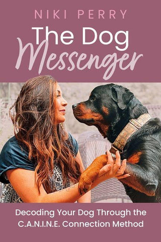 The Dog Messenger