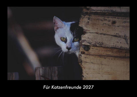 Für Katzenfreunde 2027 Fotokalender DIN A3