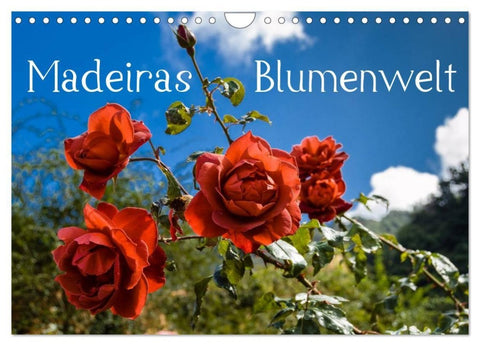 Madeiras Blumenwelt (Wandkalender 2027 DIN A4 quer), CALVENDO Monatskalender