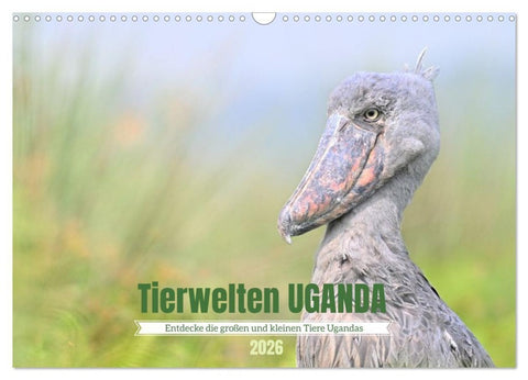 Tierwelten UGANDA (Wandkalender 2026 DIN A3 quer), CALVENDO Monatskalender