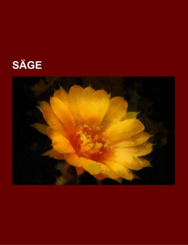 Säge