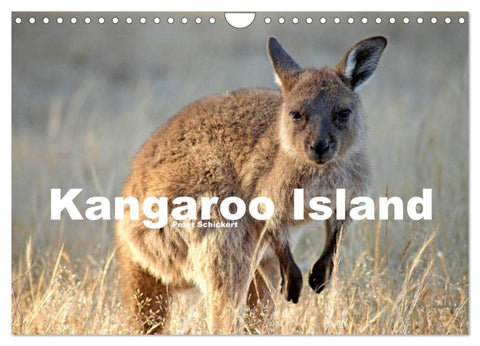 Kangaroo Island (Wandkalender 2026 DIN A4 quer), CALVENDO Monatskalender