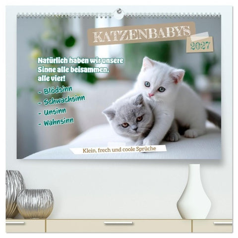 Katzenbabys - Klein, frech und coole Sprüche (hochwertiger Premium Wandkalender 2027 DIN A2 quer), Kunstdruck in Hochglanz
