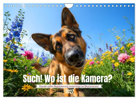 Such! Wo ist die Kamera? (Wandkalender 2027 DIN A4 quer), CALVENDO Monatskalender