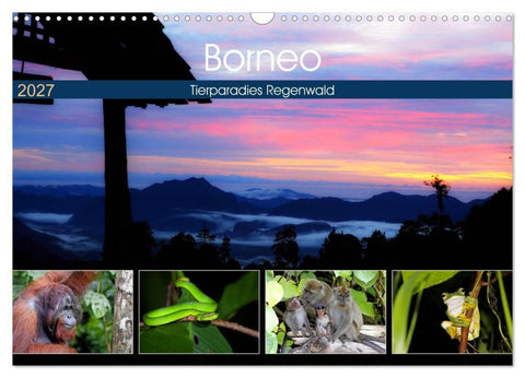 Borneo - Tierparadies Regenwald (Wandkalender 2027 DIN A3 quer), CALVENDO Monatskalender
