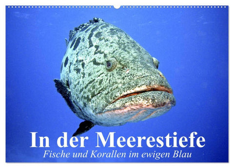 In der Meerestiefe. Fische und Korallen im ewigen Blau (Wandkalender 2026 DIN A2 quer), CALVENDO Monatskalender