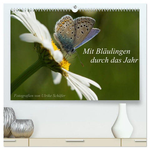 Mit Bläulingen durch das Jahr (hochwertiger Premium Wandkalender 2027 DIN A2 quer), Kunstdruck in Hochglanz