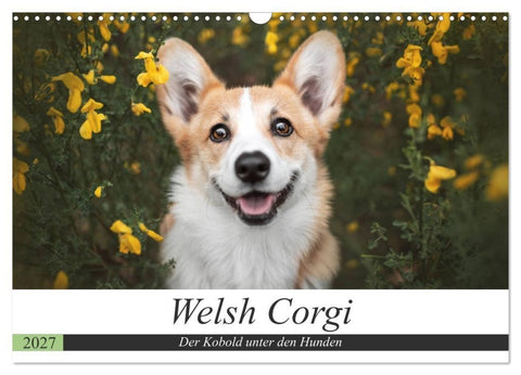 Welsh Corgi - Der Kobold unter den Hunden (Wandkalender 2027 DIN A3 quer), CALVENDO Monatskalender