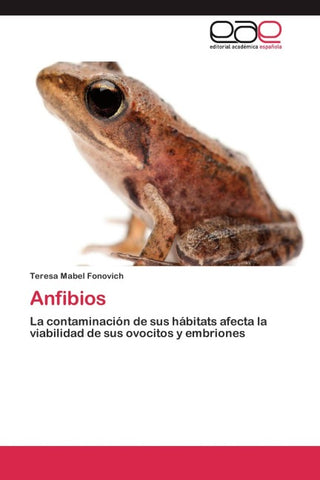 Anfibios
