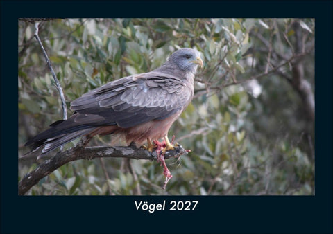 Vögel 2027 Fotokalender DIN A5