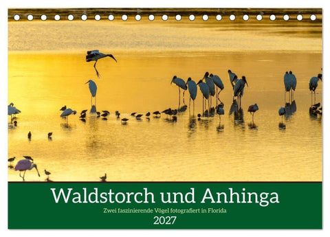 Waldstorch und Anhinga (Tischkalender 2027 DIN A5 quer), CALVENDO Monatskalender